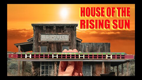 How to Play House of the Rising Sun on a Tremolo Harmonica with 24 Holes