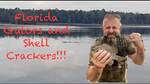 Florida Gators and Shell Crackers!!!