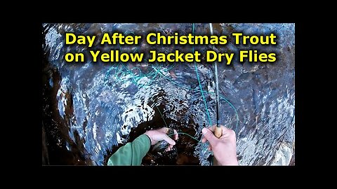 Winter Trout on Yellow Jacket Dry Flies