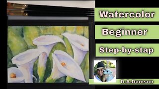 Watercolor Beginner Lillis