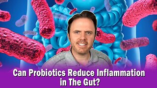 Can Probiotics Reduce Inflammation in The Gut?