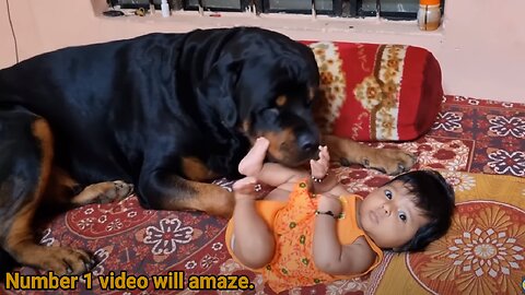 cute baby playing with dog | Rottweiler dog | funny dogs| #dog #funnyvideo