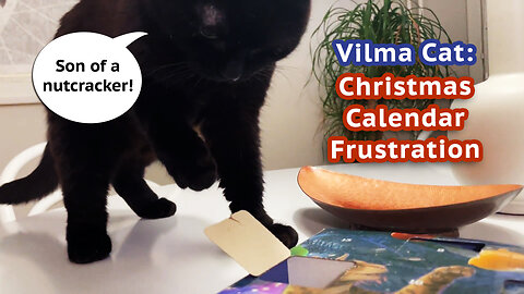 Vilma Cat Christmas Calendar Frustration