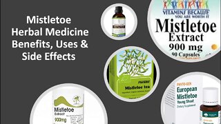 Mistletoe Herbal Medicine Benefits, Uses & Side Effects