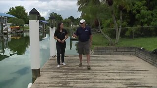 Neighbors in North Fort Myers concerned about blue-green algae in canal