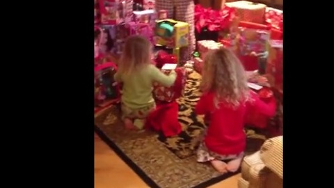 Surprise Christmas puppies shock little girls