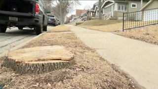 Milwaukee residents hope to avoid power outages amid anticipated winter weather