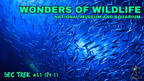 MORE THAN FISH | Wonders of Wildlife | BEC TREK Episode 41 (Pt1)