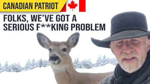 Canada, we have a serious f**king problem : @helpinghorsesheal