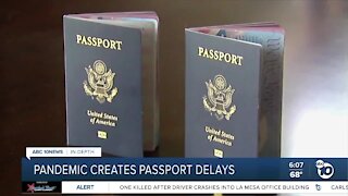 Pandemic creates passport delays