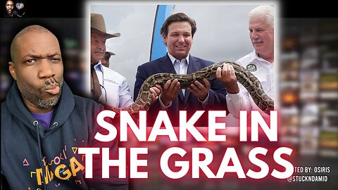 Florida has a snake problem