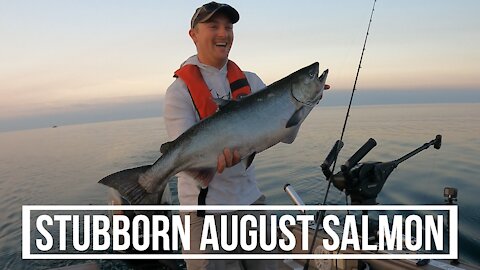 Tips for finicky late Summer King Salmon - Lake Ontario August 2021 - Ft. Jack Morgan