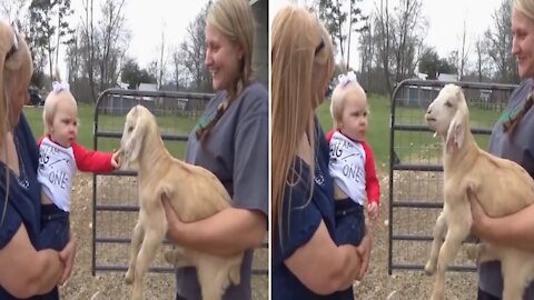 Little baby girl trying to communicate with her pet goat