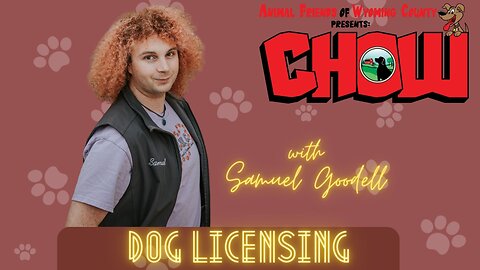 What is Dog Licensing?