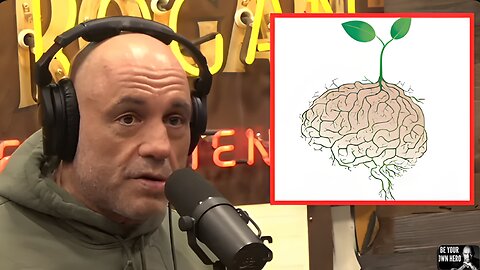 Joe Rogan There is Emerging Evidence That Plants Have Intelligence