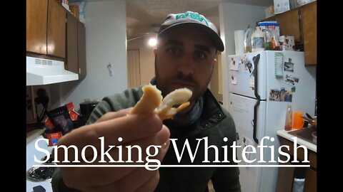 Smoking Mountain Whitefish | Catch and Cook | Wild West Trail