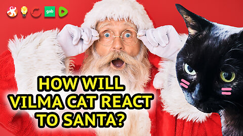 How Does A Cat React To Santa Claus (Vilma Style)?