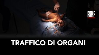 UCRAINA E TRAFFICO DI ORGANI (con V. Lorusso e A. Lucidi)