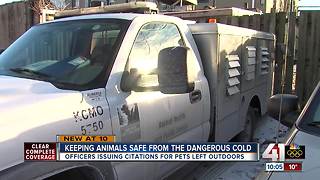 Animal control officers rescue animals from cold