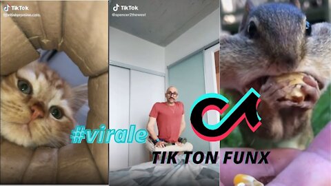 video virale TIK TOK