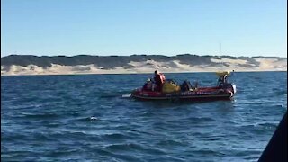 Humpback whale disentangled at Kowie River Mouth (uEw)