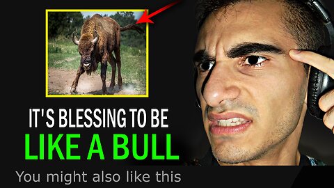 Bull Mindset YOU and Bull - Speech That Will Change Everything