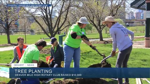 Denver Mile High Rotary Club raised money for 30 new trees at a Denver park