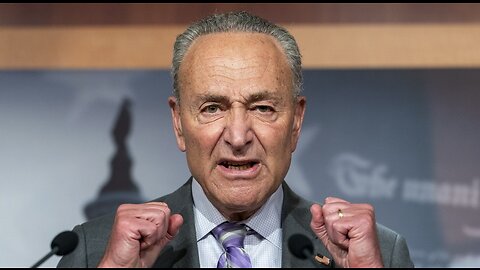 Schumer Threatens Fox, Says He Has 'Right' To Tell Them 'What to Do'