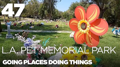 "The Los Angeles Pet Memorial Park" (16Aug2021) Robert Coker
