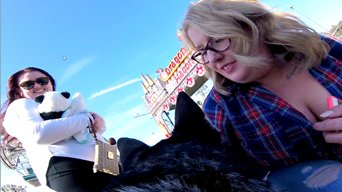 Siberian Husky visits Carnival - GoPro View from his Back