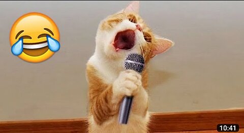 Funny cat singing video😆