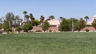 Dry As A Bone: Las Vegas Enforces New Water Restrictions