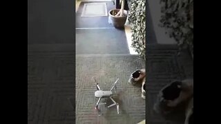 Test Flying Drone in my Office