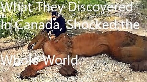 What They Discovered In Canada, Shocked the Whole World
