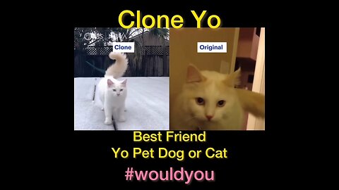 PET CLONING IS HERE!?