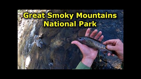 Oh No Not Again! Great Smoky Mountain NP Fly Fishing for Trout