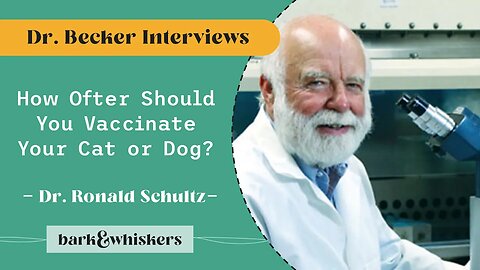 Dr Karen Becker Interviews Dr Schultz (Part 4 of 4)