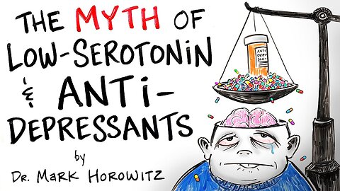 The Myth of Low-Serotonin & Antidepressants - Dr. Mark Horowitz