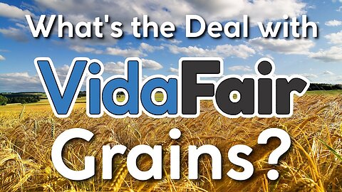 What are VidaFair Grains?