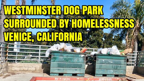 VLOG: WESTMINSTER DOG PARK SURROUNDED BY HOMELESSNESS | VENICE, CALIFORNIA