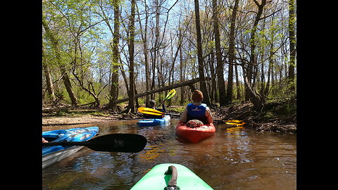 3/15/23 Exploratory Paddle, Upper Little River, Highway 401 Bridge to Titan Roberts Bridge