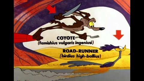 Wile E. Coyote And The Road Runner: Whoa, Be-Gone! #Popcoorn #cartoon #roadrunner