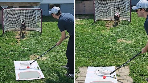 Most Canadian Dog Ever Is An Incredible Goalie