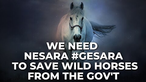 We Need Nesara #Gesara to Save the Wild Horses from the Government!