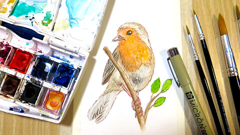 How I Paint a Robin in Watercolor and Ink