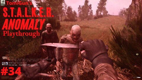S.T.A.L.K.E.R. Anomaly #34 - Cordon Zombies - with Aggressor Reshade, Сталкер Аномали