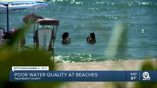 Poor water quality at 6 beaches in Palm Beach County