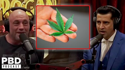 “Time to Legalize ALL Drugs” - Joe Rogan & Patrick Bet David discuss