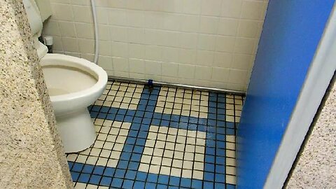 Flooding Toilets in Japan