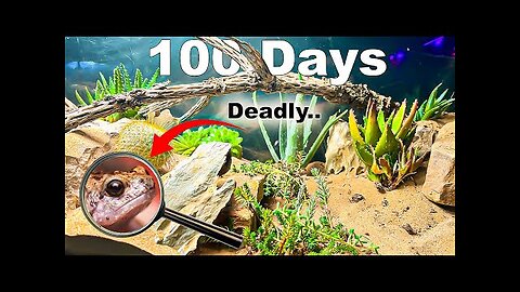 150 Gallon Desert Simulation ( With Natural Disasters )